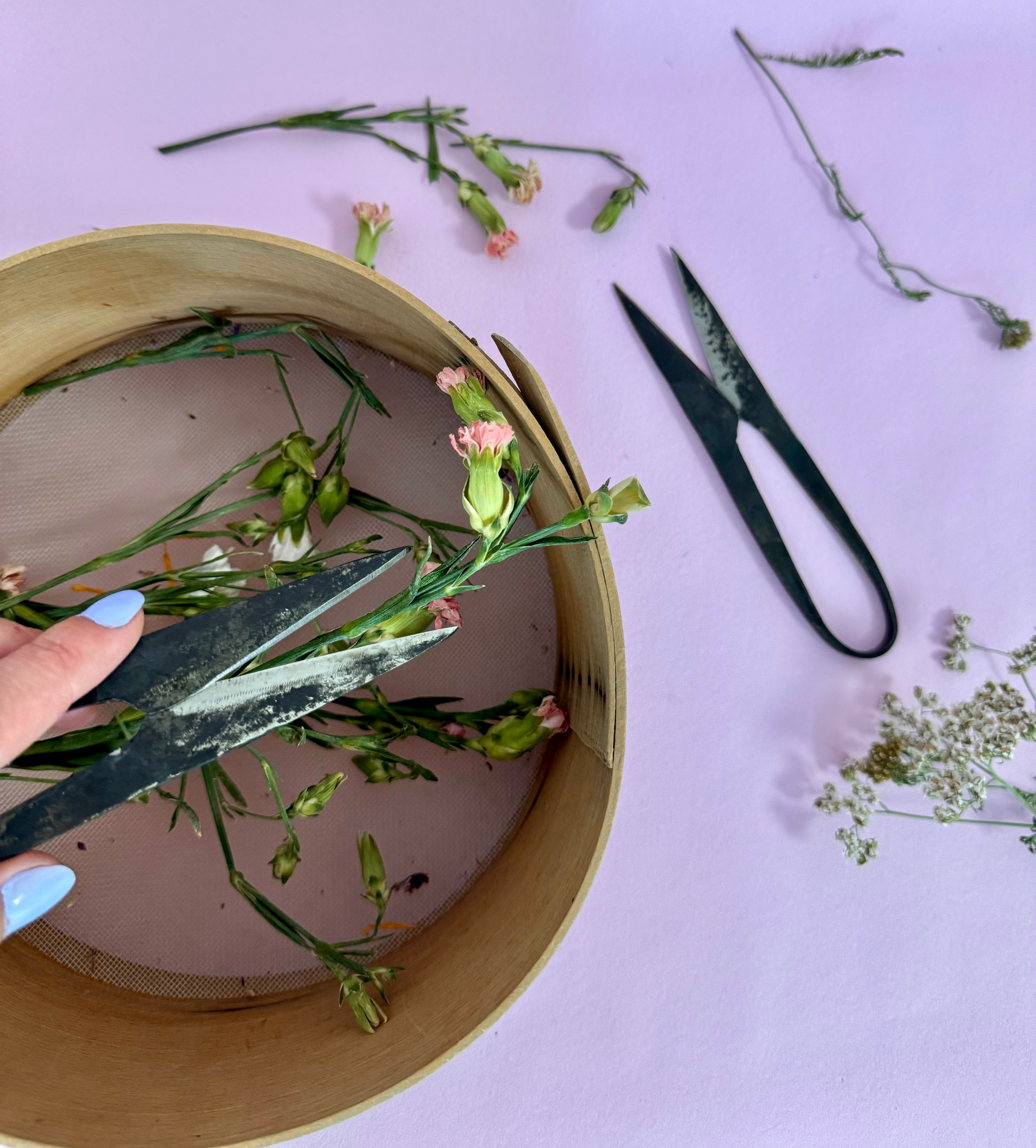 Månesøster Krystaller Horsens - Håndsmedet Urtesaks fra Authentic Blades - (8 cm. lang) / MAANESOESTER.DK / MÅNESØSTER.DK