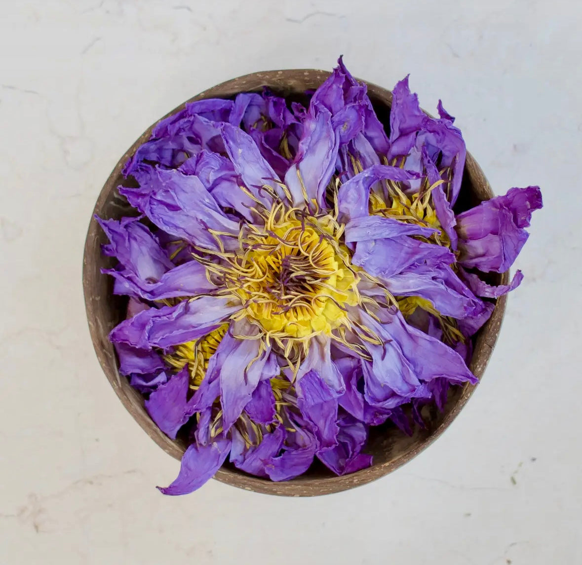 Månesøster Krystaller - Horsens - Blå Lotus - Hele Tørrede Blomster 15 gram eller 30 gram / MAANESOESTER.DK / MÅNESØSTER.DK