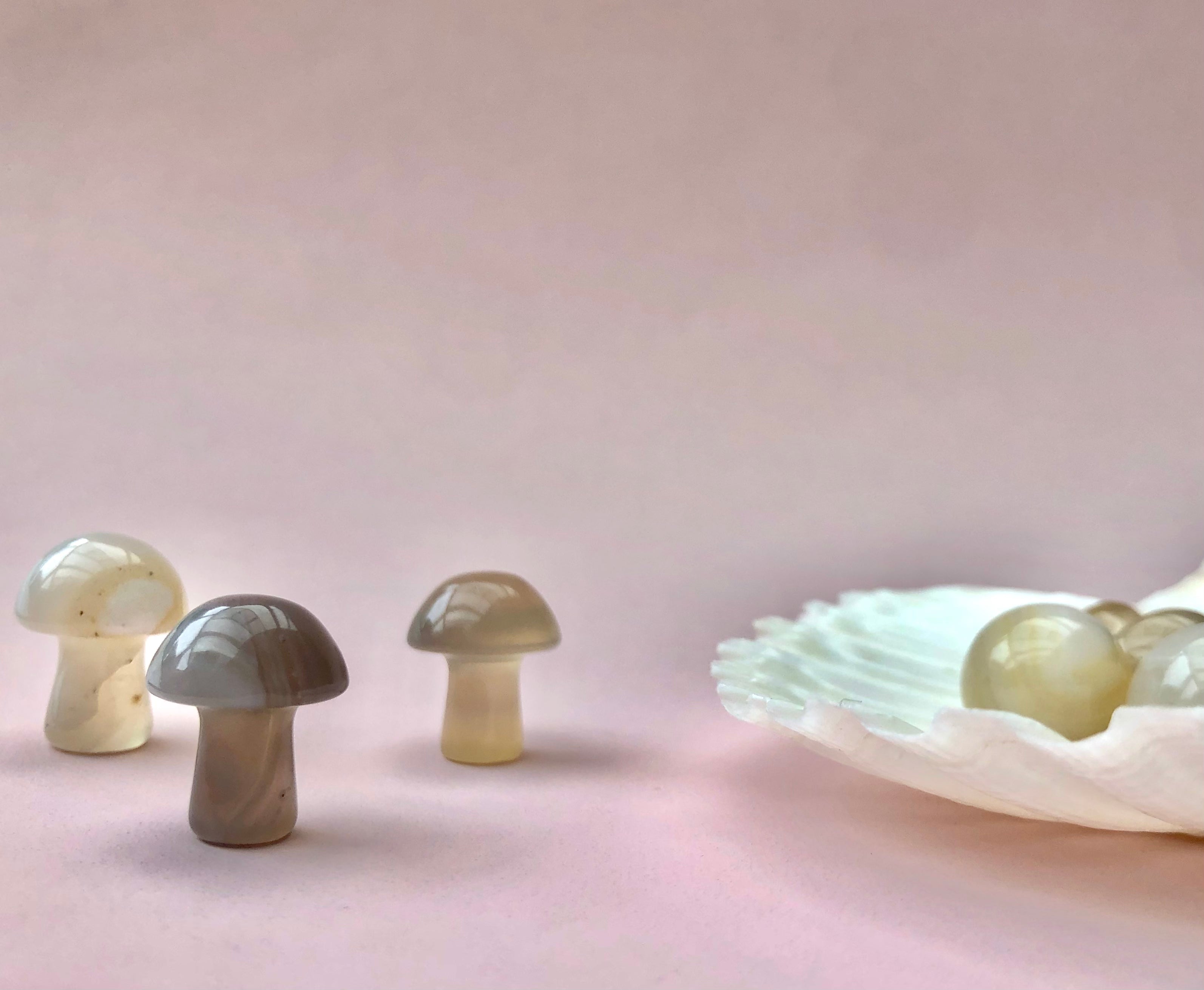 Månesøster Krystaller Agat Svamp Svampe Månesøsteren Månesøstre Månesøstrene / MAANESOESTER.DK / MÅNESØSTER.DK