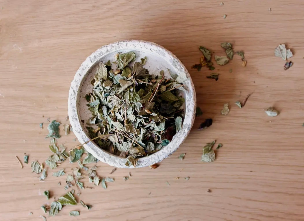 MEXICANSK DRØMMEURT | CALEA ZACATECHICHI - 15 gram