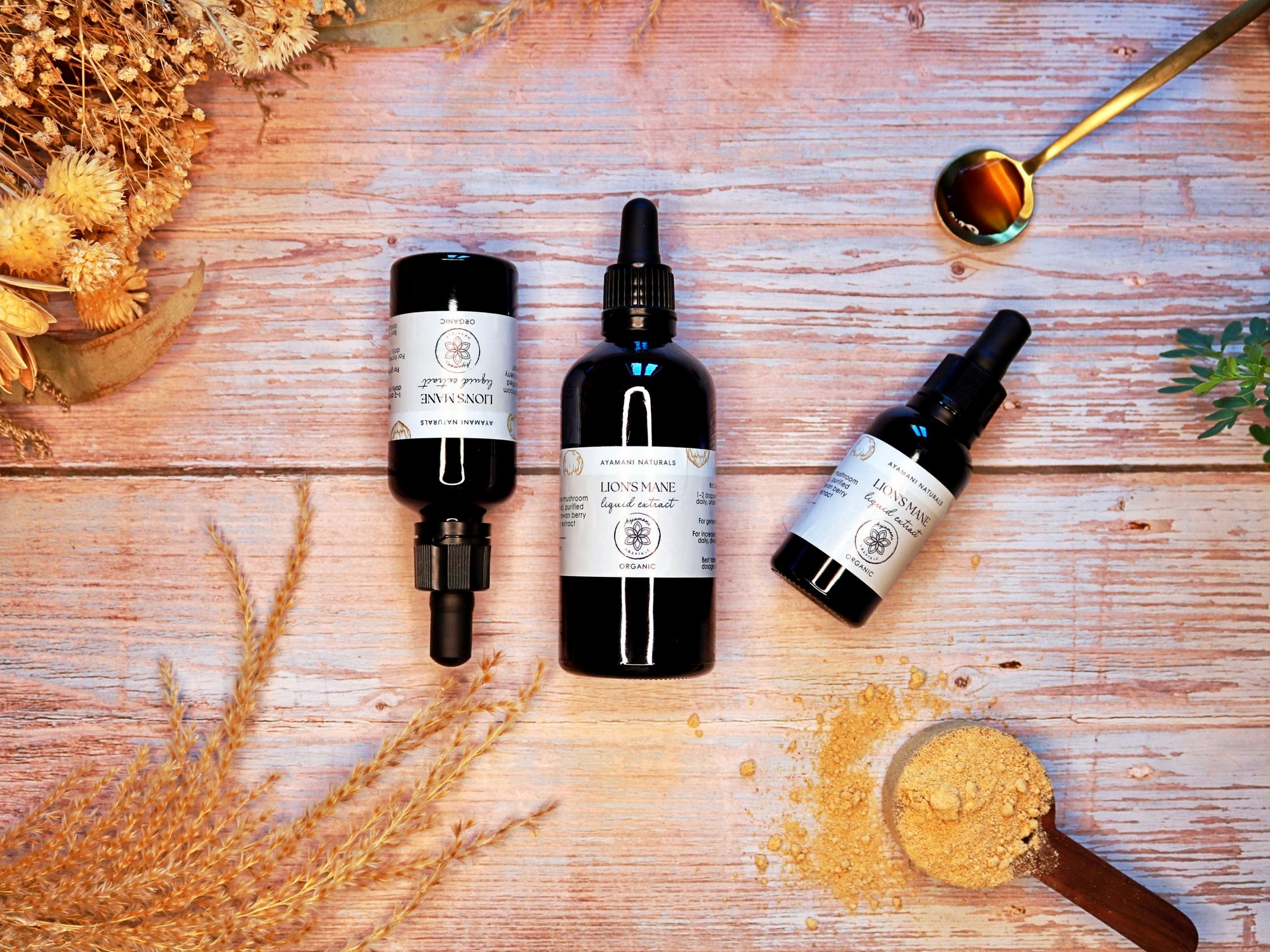 LION'S MANE DUAL EXTRACT ALCOHOL-FREE | HERICIUM ERINACEUS 30 ml