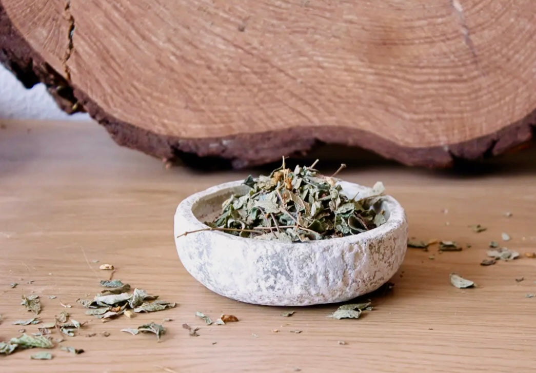 MEXICANSK DRØMMEURT | CALEA ZACATECHICHI - 15 gram