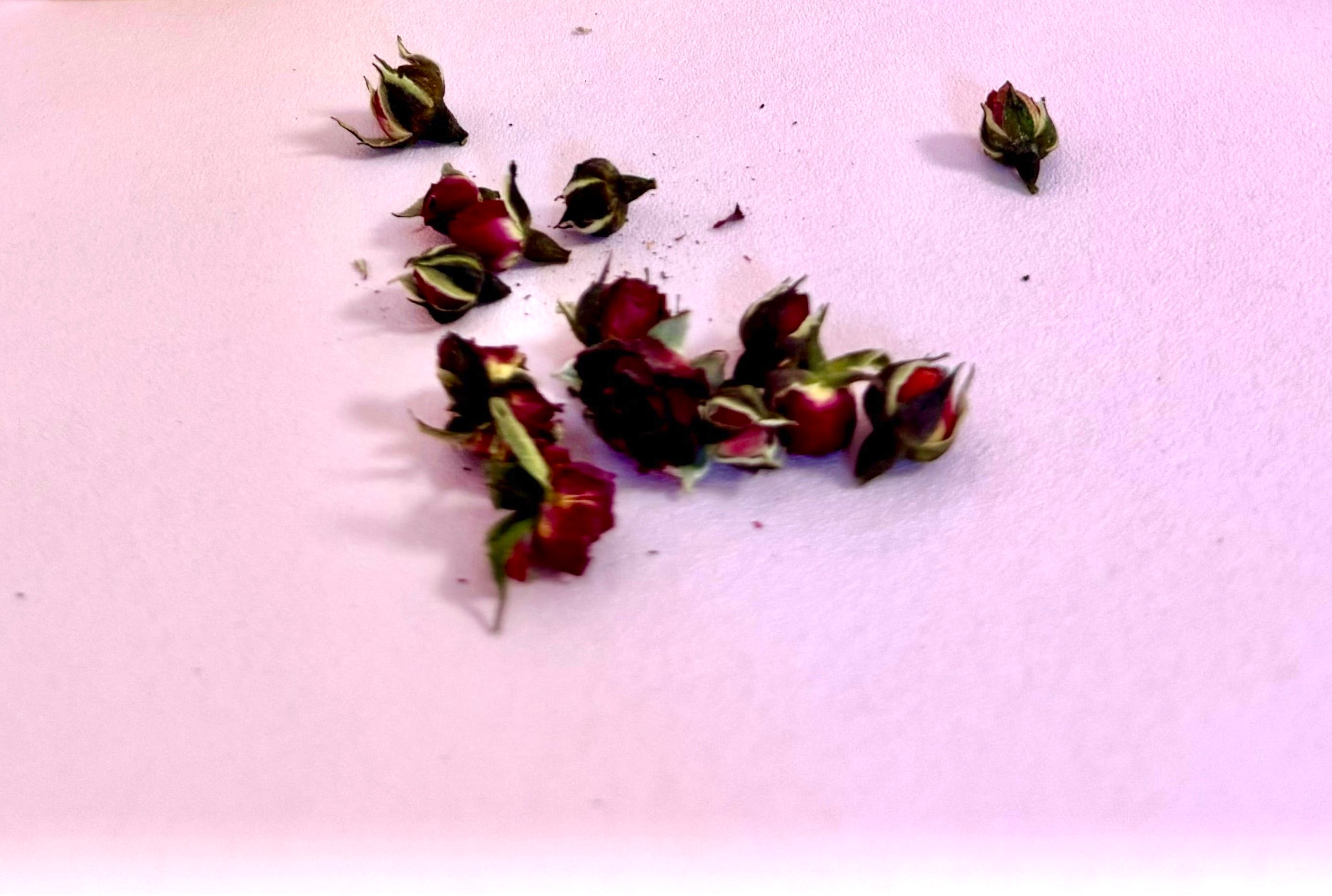 Yunnan Golden Edge Rose ☽ Tørret Blomster Te Fra Tea Soul - Italien ☽ 50 gram
