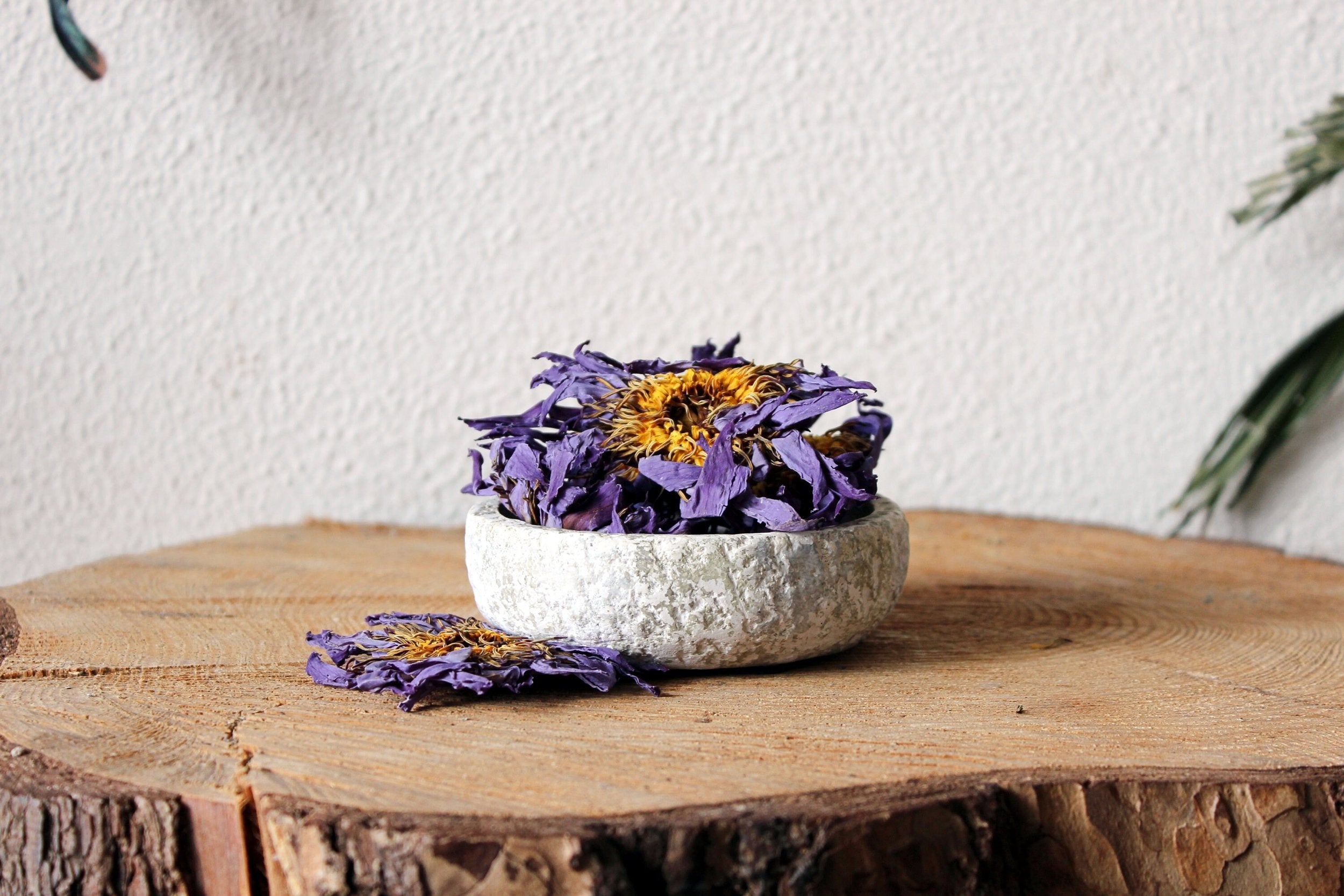 Blå Lotus ☽ Egyptisk Blå Lotus - Hele Blomster Fra Ayamani Naturals ☽ 15 gram eller 30 gram