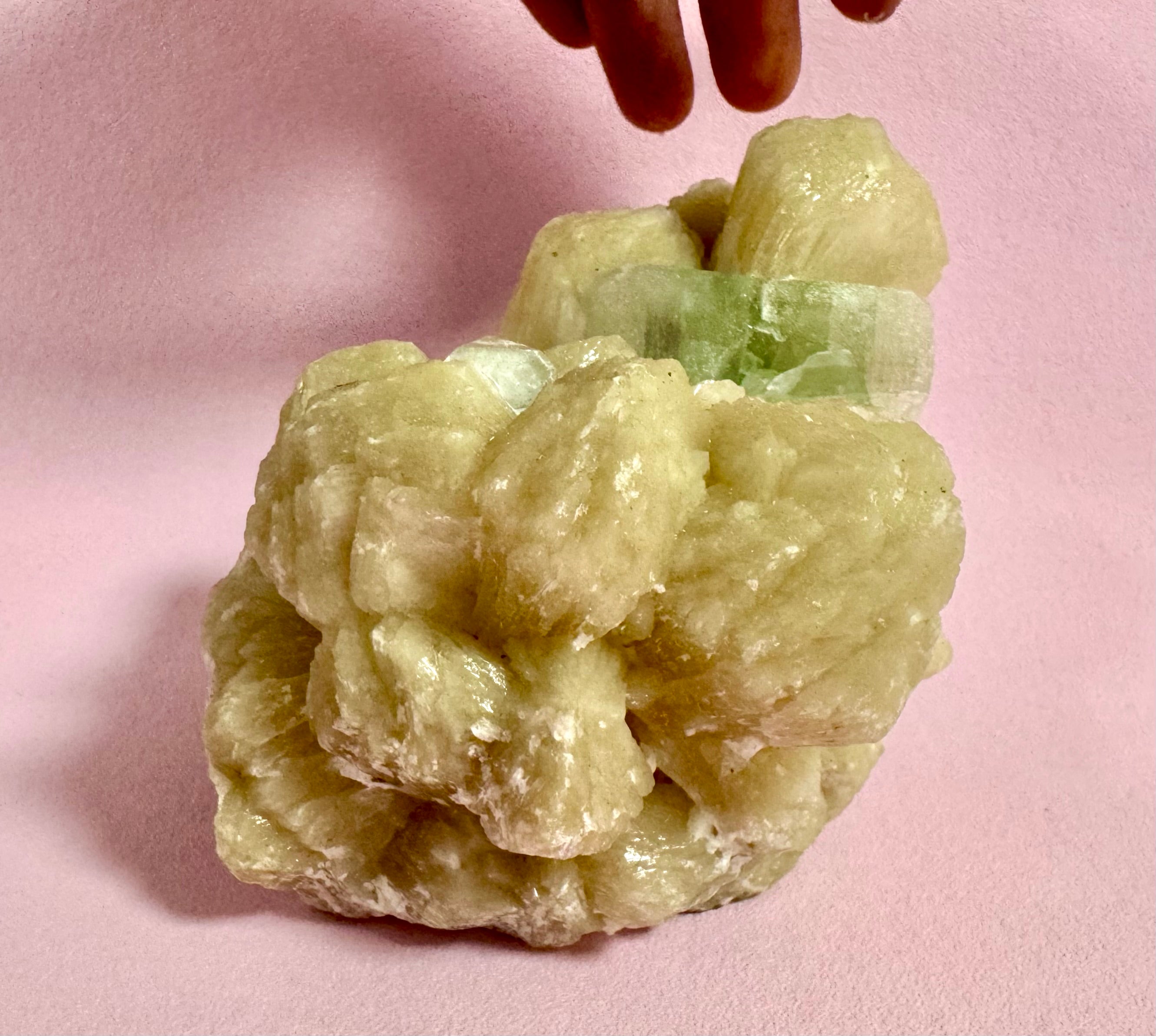 Apophyllit klynge – Zeolit med stilbit nr. 444 - beskytter mod energidrænene påvirkning, udvikler dine intuitive evner og hjælper dig til at træde ud af dit ego og lade energi flyde let𓂀