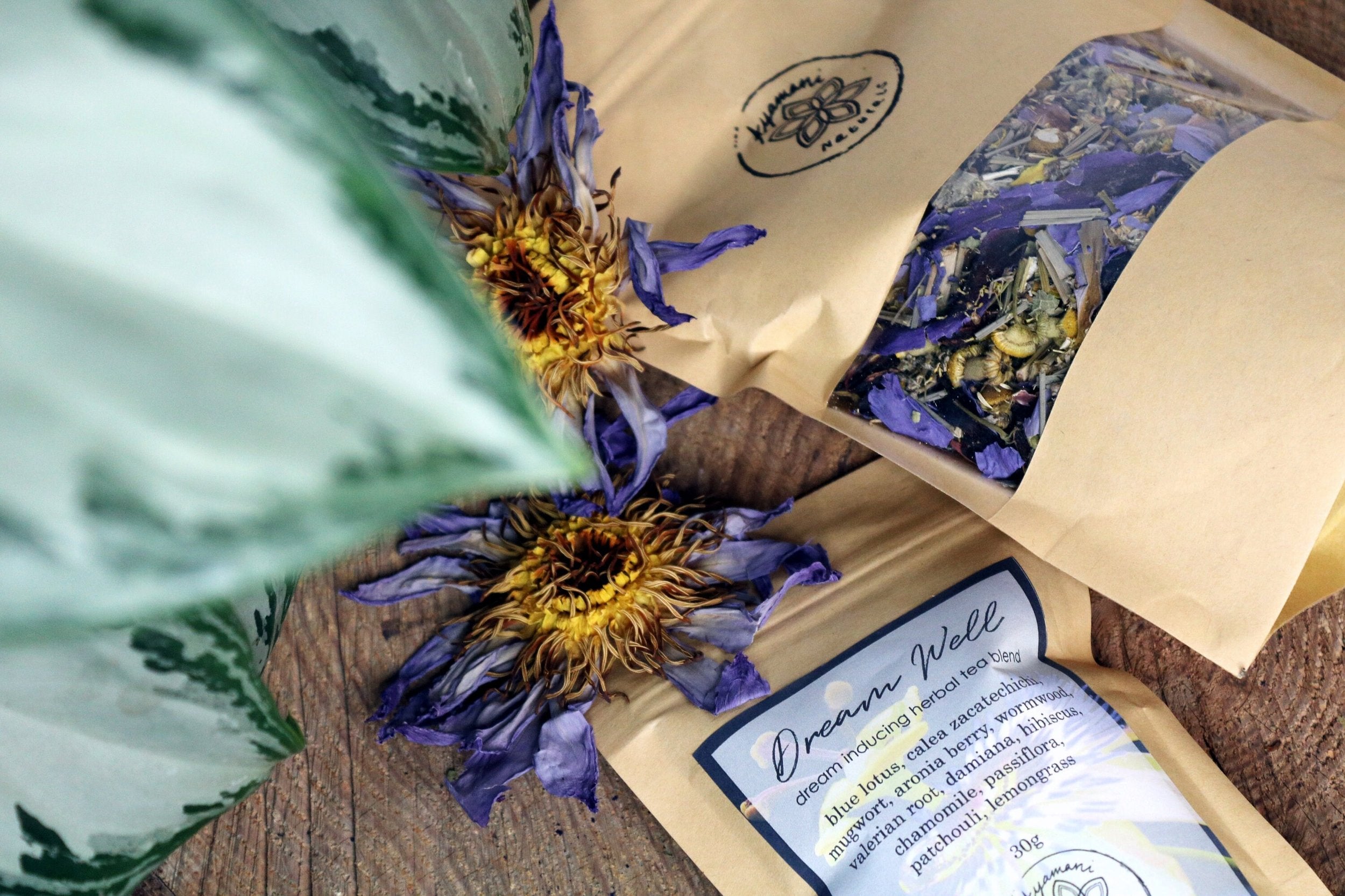 Månesøster Krystaller Horsens - DREAM WELL | LUCID DREAMING TEA ☽ Drømme Urtete Fra Ayamani Naturals ☽ 100 gram / MÅNESØSTER.DK / MAANESOESTER.DK
