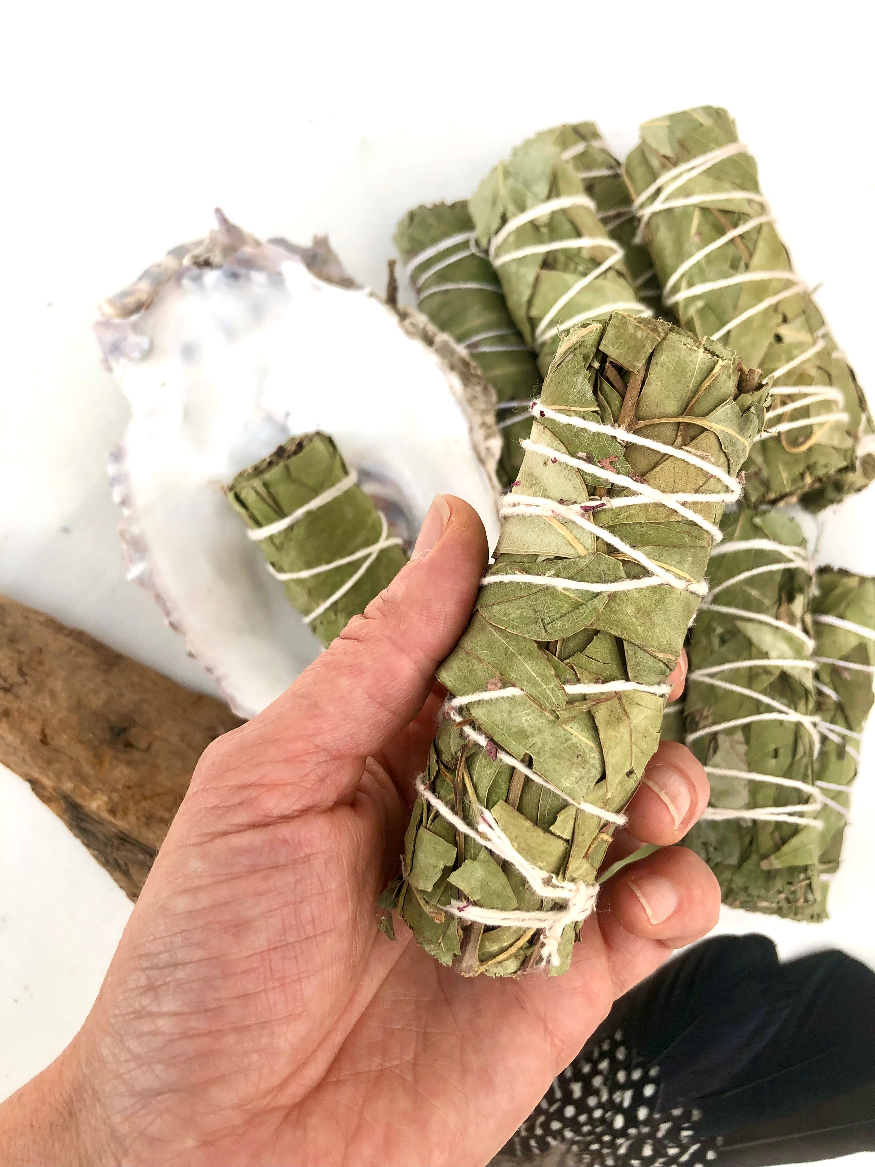 Eucalyptus Eukalyptus Røgelse Salvie Sage Smudge Stick Smudgestick Med Rosmarin Månesøster Krystaller Månesøsteren Månesøstrene Månesøstre