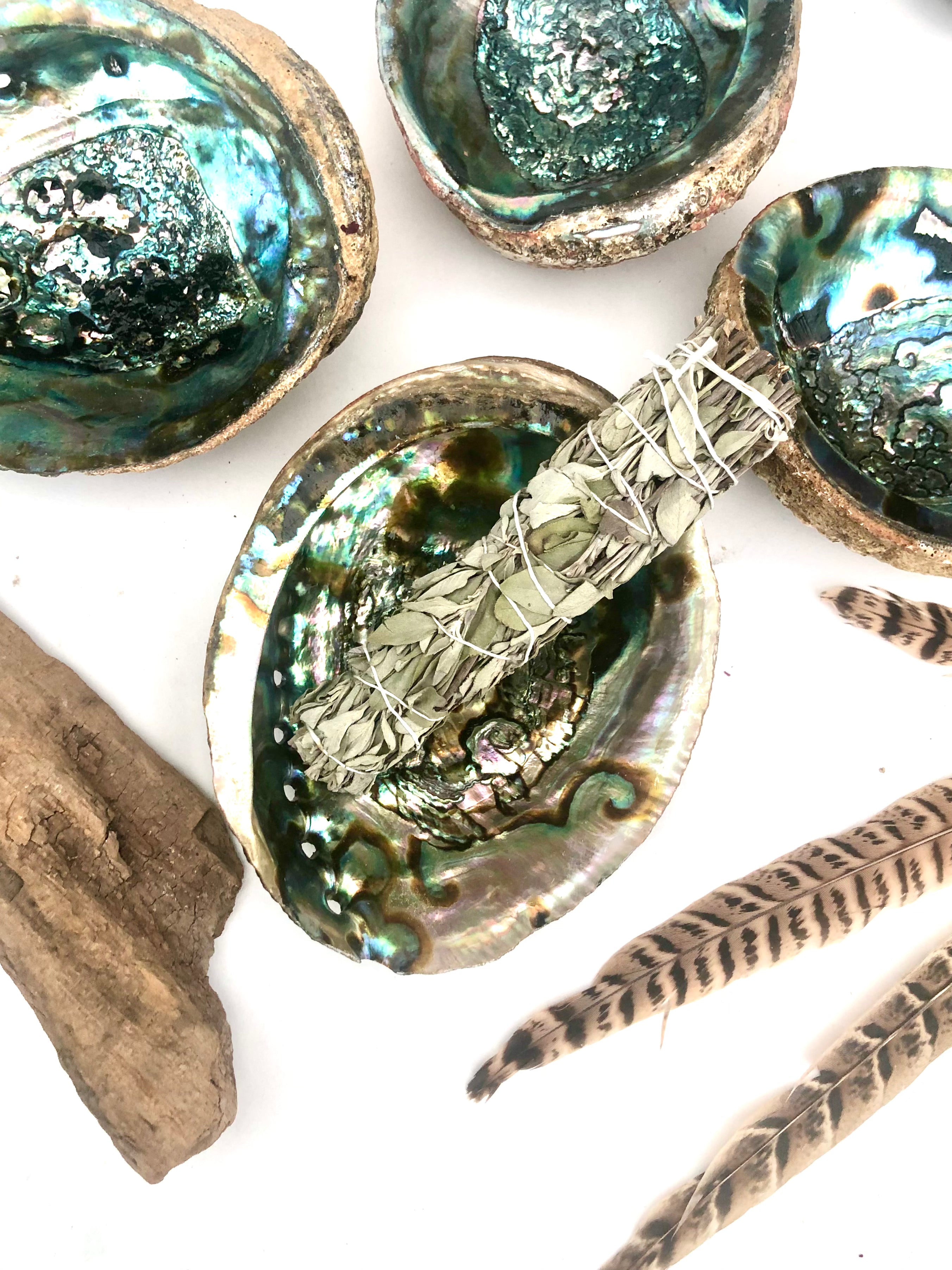 Abelone skaller Abeloneskaller Abeloneskal Røgelse Røgelsesholder Røgelses Holder Månesøster Krystaller