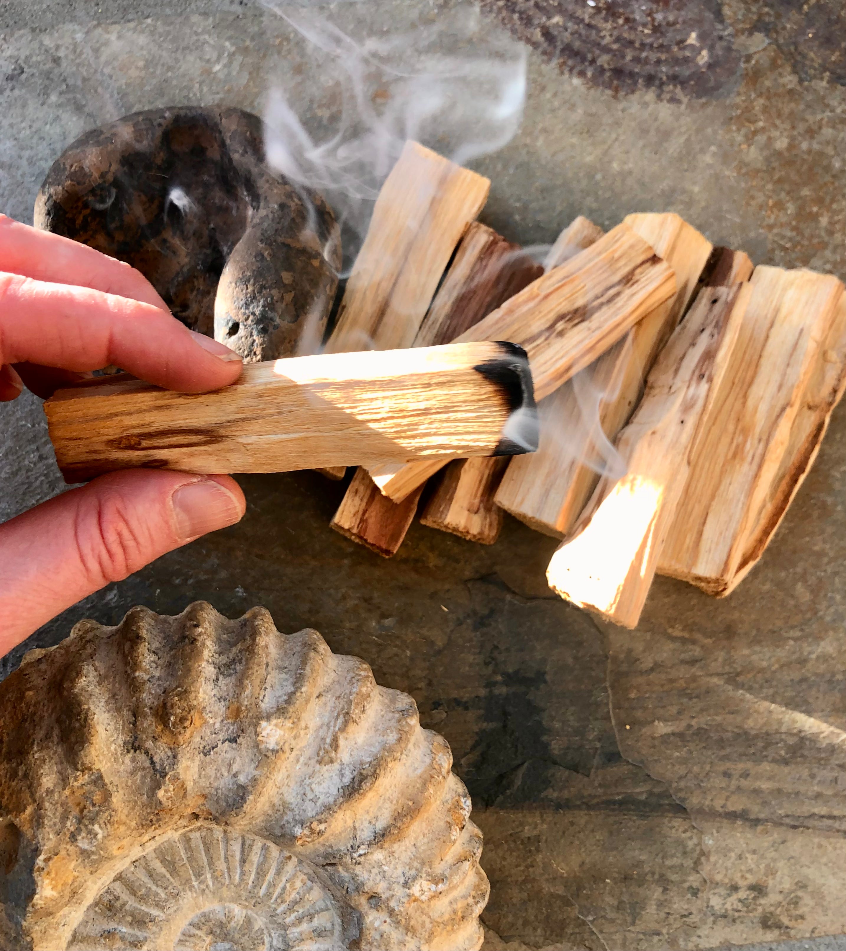 Stor Palo Santo Pind Månesøster Krystaller Røgelse Månesøsteren Månesøstrene Palosanto