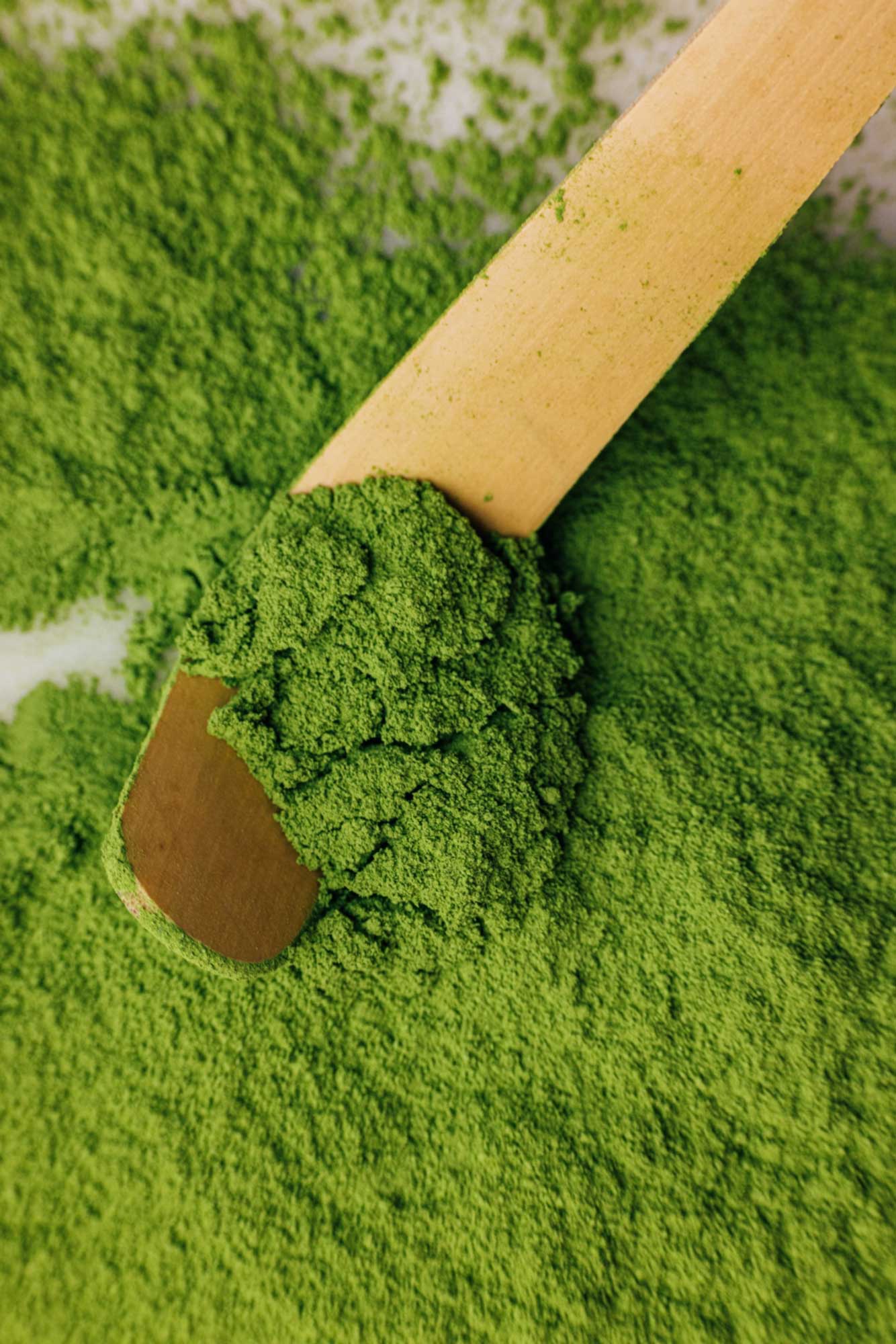 HEALTH BAR MATCHA  ☽ ceremonial grade ☽ 100% økologisk organisk matcha 30 gram