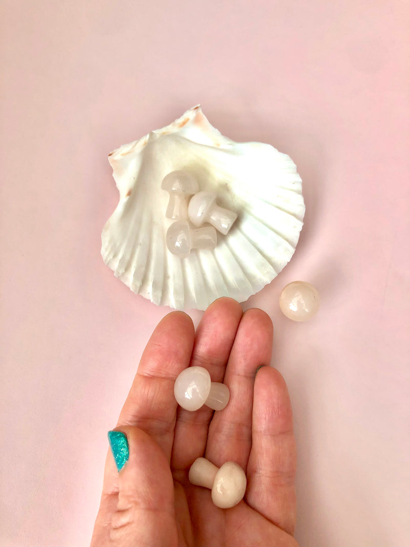 Hvid Agat Svamp ☾ 2 cm