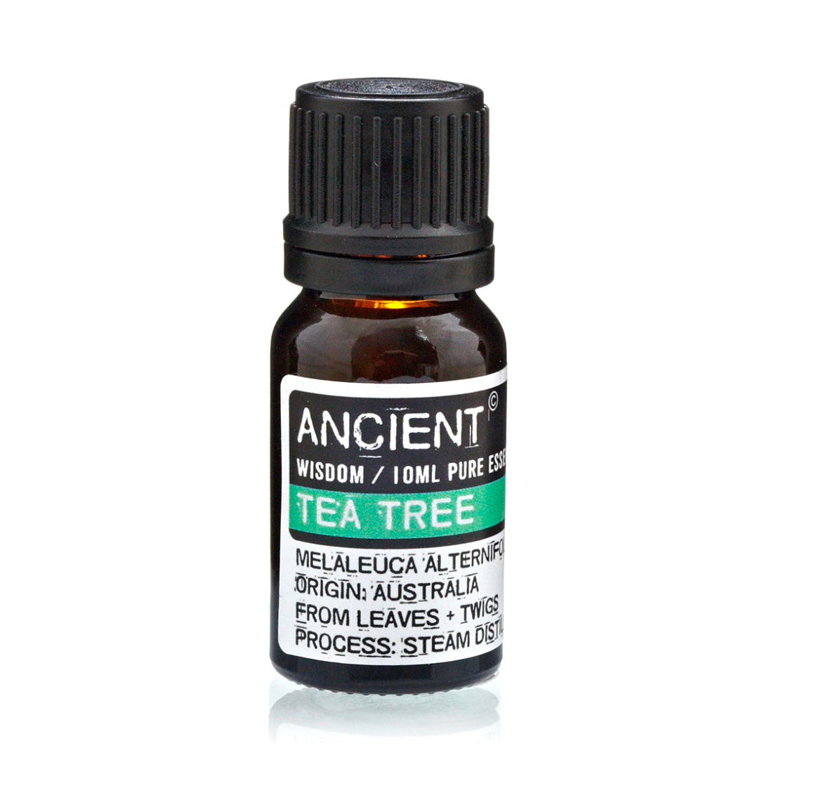 Tea Tree æterisk olie ☽ 10 ml