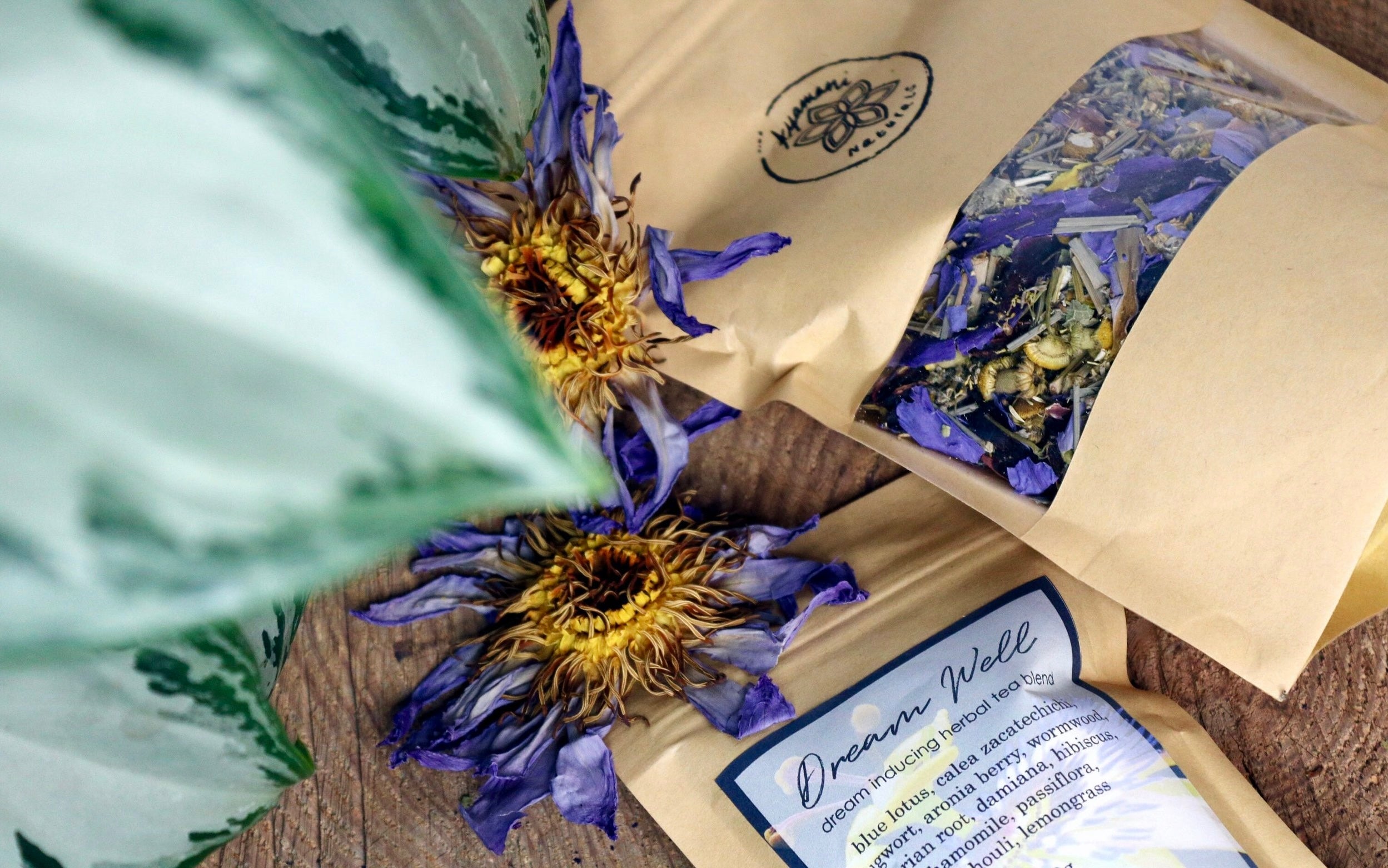 DREAM WELL | LUCID DREAMING TEA ☽ Drømme Urtete Fra Ayamani Naturals ☽ 100 gram