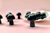 Sort Obsidian Svamp ☽ 2 cm