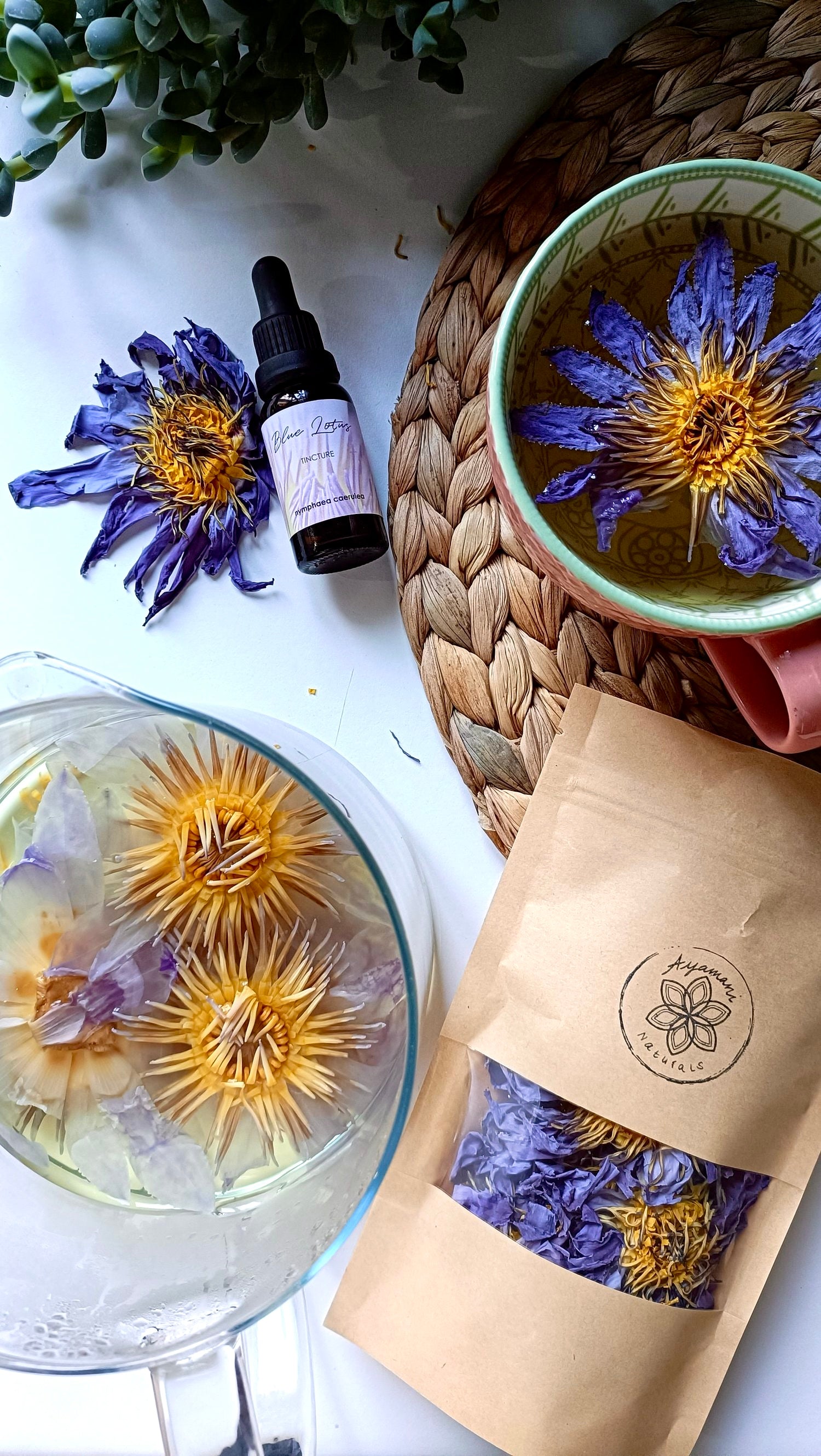 Blå Lotus ☽ Egyptisk Blå Lotus - Hele Blomster Fra Ayamani Naturals ☽ 15 gram eller 30 gram