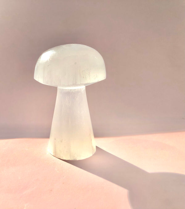 Stor Selenit svamp ☾ RENS, OPLAD & HEAL ☾ 176 gram - 8 cm høj
