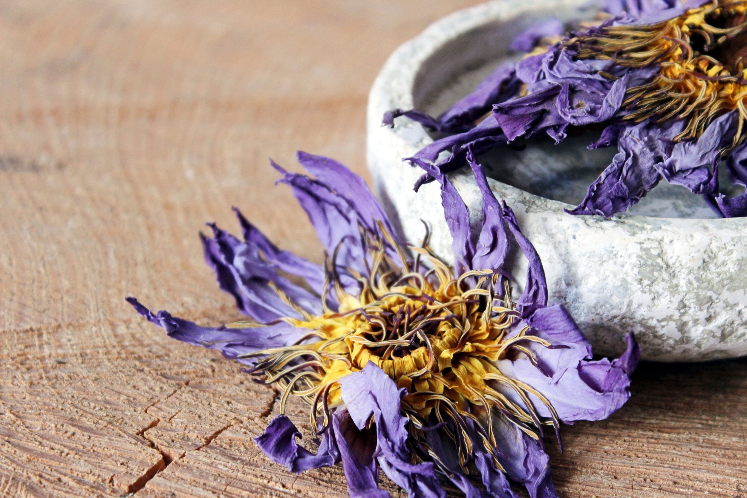 Blå Lotus ☽ Egyptisk Blå Lotus - Hele Blomster Fra Ayamani Naturals ☽ 15 gram eller 30 gram
