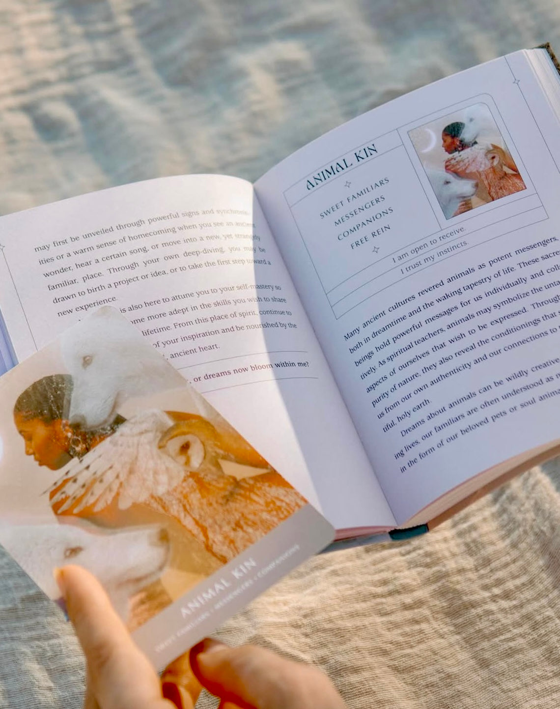 The Dreamgate Oracle: A Self-Reflective Deck and Guidebook - Træd gennem døren til dine drømme og ind i din indre visdom