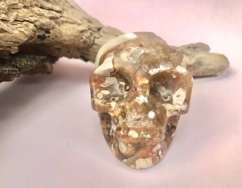 Amber Agat Kranie / Skull ☾