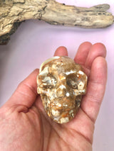 Amber Agat Kranie / Skull ☾