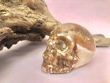 Amber Agat Kranie / Skull ☾