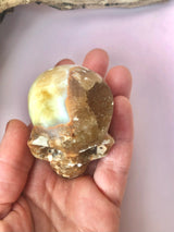 Amber Agat Kranie / Skull ☾