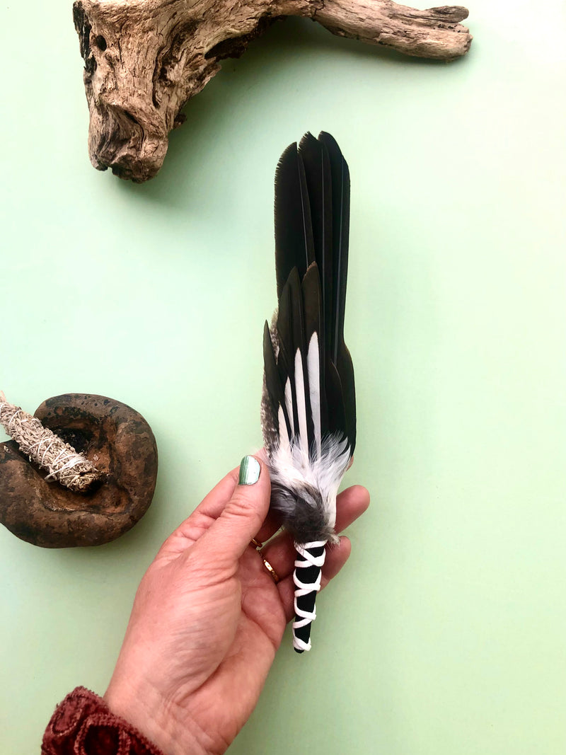 Smudging Fjer ☾ Fjer Røg Vifte ☾ 27 cm ☾ Nr.7